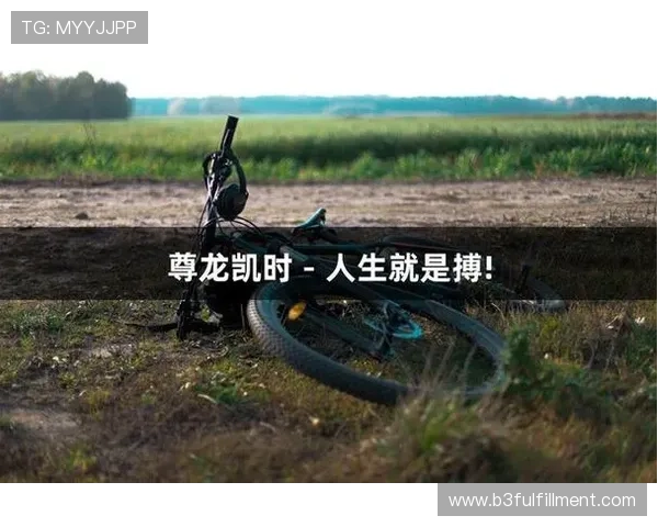 尊龙凯时人生就是搏如何在激烈的市场环境中把握机会实现人生的全面突破